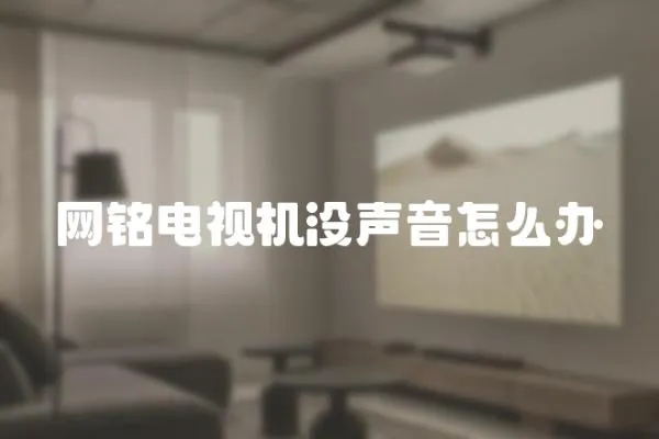 網銘電視機沒聲音怎么辦