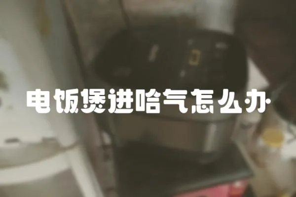 電飯煲進哈氣怎么辦