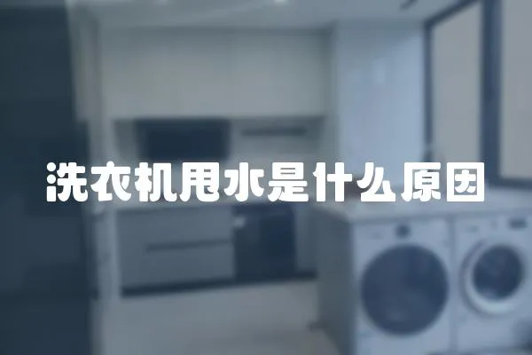 洗衣機甩水是什么原因