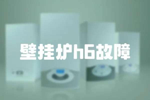 壁掛爐h6故障