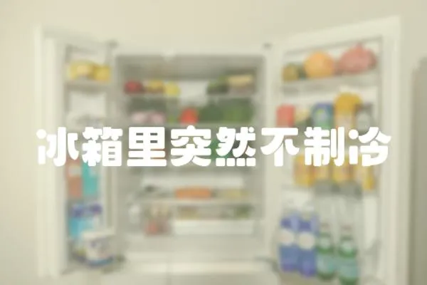 冰箱里突然不制冷