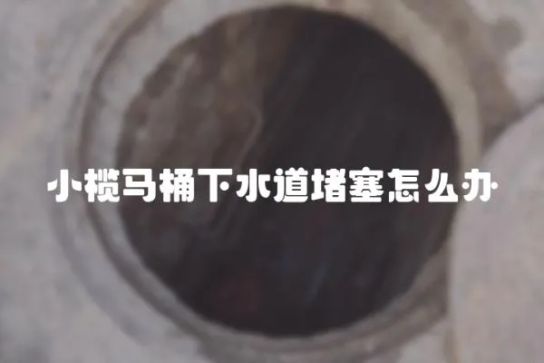 小欖馬桶下水道堵塞怎么辦