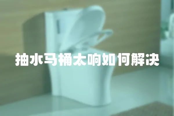 抽水馬桶太響如何解決