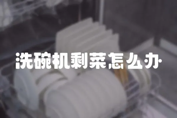 洗碗機剩菜怎么辦