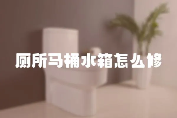 廁所馬桶水箱怎么修