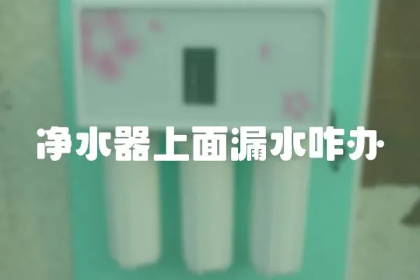 凈水器上面漏水咋辦