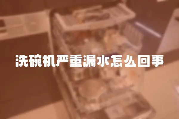 洗碗機嚴重漏水怎么回事
