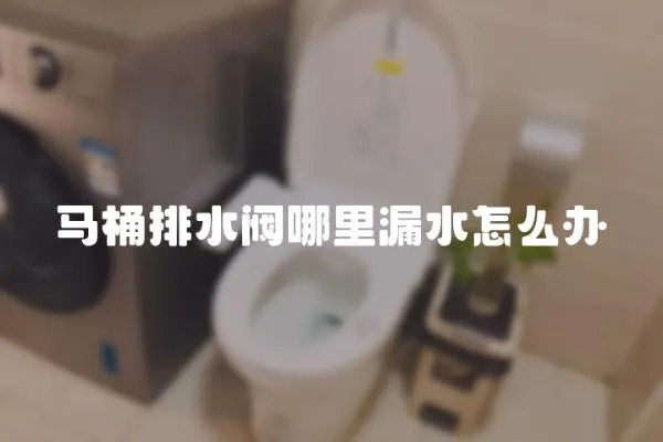 馬桶排水閥哪里漏水怎么辦