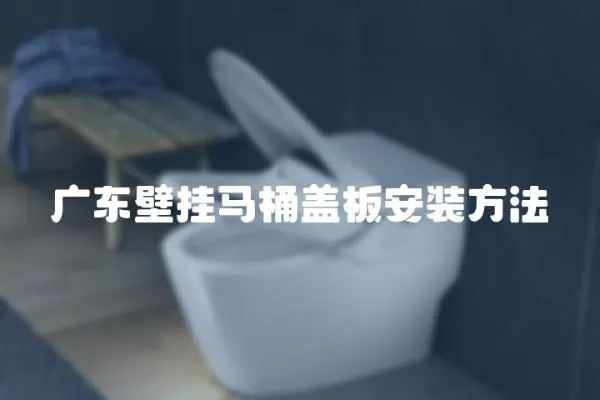 廣東壁掛馬桶蓋板安裝方法