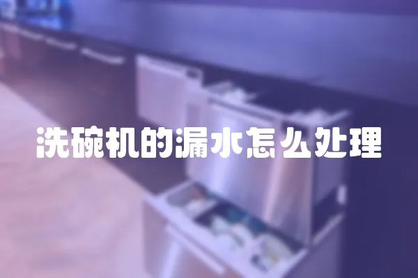 洗碗機的漏水怎么處理