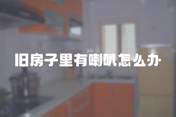 舊房子里有喇叭怎么辦