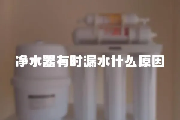 凈水器有時(shí)漏水什么原因