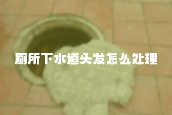 廁所下水道頭發怎么處理