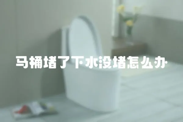 馬桶堵了下水沒(méi)堵怎么辦