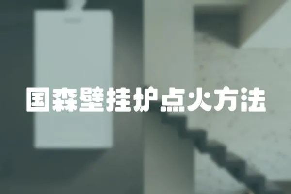 國森壁掛爐點火方法