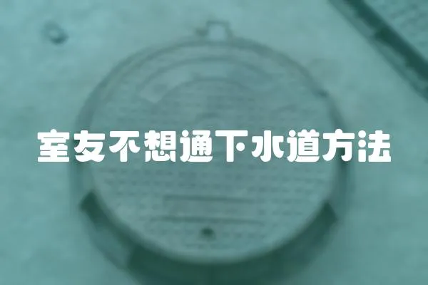室友不想通下水道方法