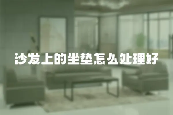 沙發上的坐墊怎么處理好