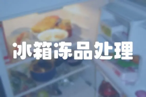 冰箱凍品處理