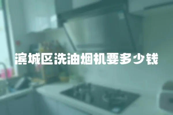濱城區洗油煙機要多少錢