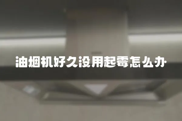 油煙機好久沒用起霉怎么辦