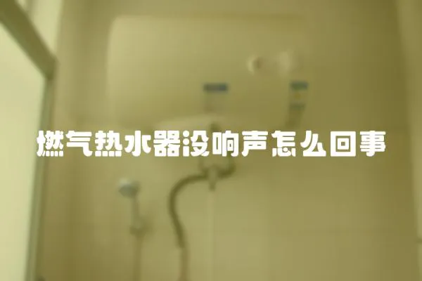 燃氣熱水器沒響聲怎么回事