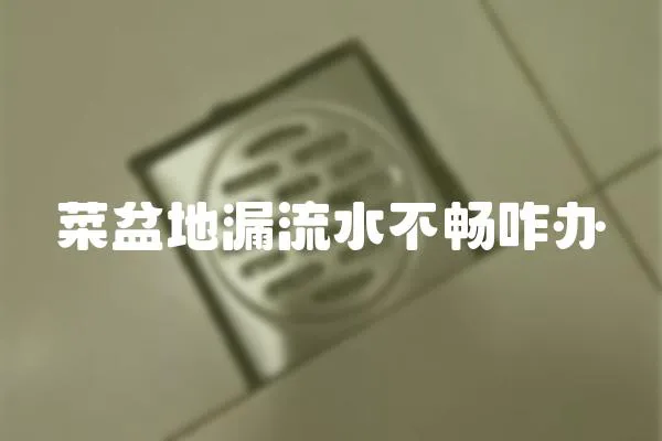 菜盆地漏流水不暢咋辦