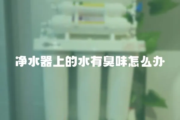 凈水器上的水有臭味怎么辦