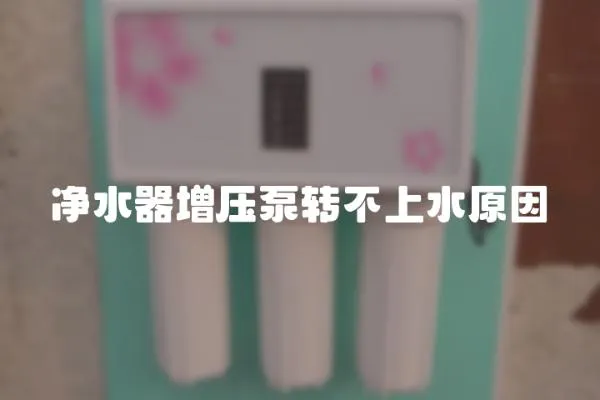 凈水器增壓泵轉不上水原因