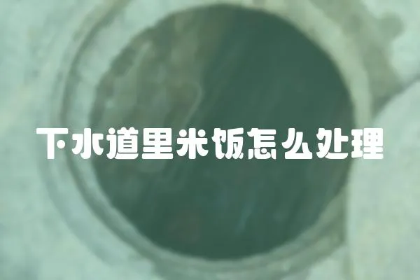 下水道里米飯怎么處理