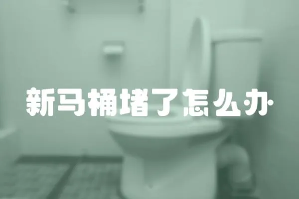 新馬桶堵了怎么辦