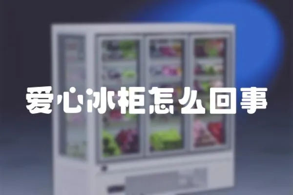 愛心冰柜怎么回事