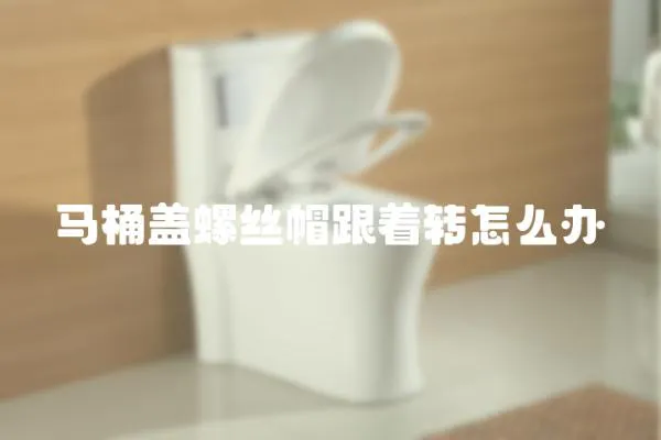 馬桶蓋螺絲帽跟著轉怎么辦