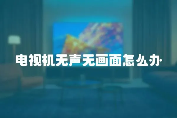 電視機(jī)無(wú)聲無(wú)畫面怎么辦