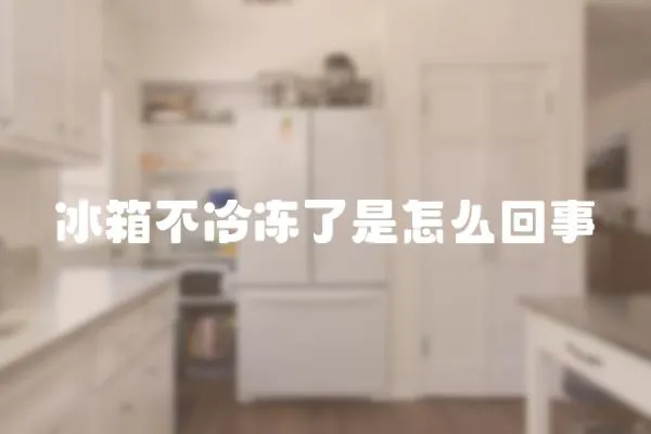 冰箱不冷凍了是怎么回事