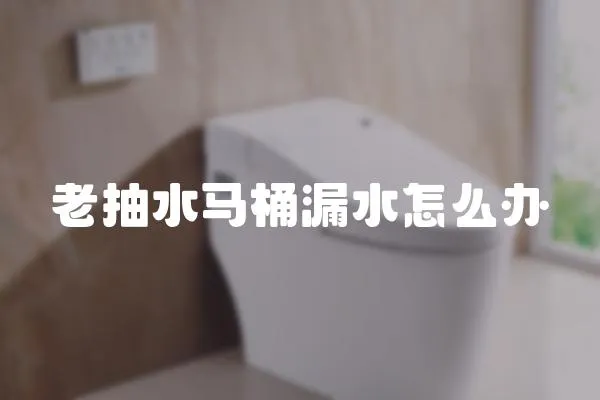 老抽水馬桶漏水怎么辦