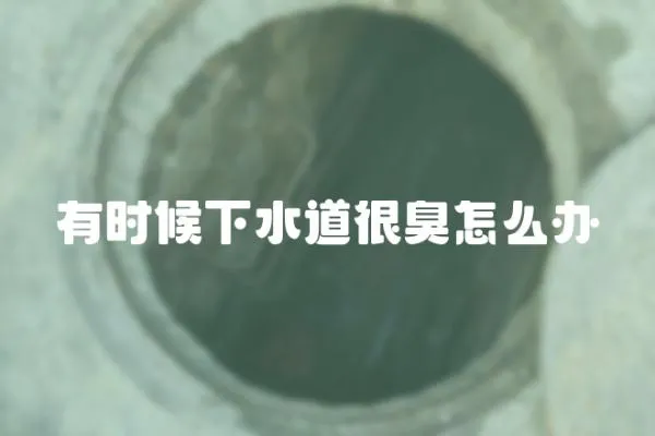 有時候下水道很臭怎么辦