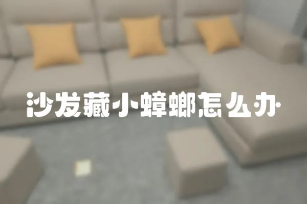 沙發藏小蟑螂怎么辦