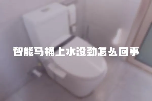 智能馬桶上水沒勁怎么回事
