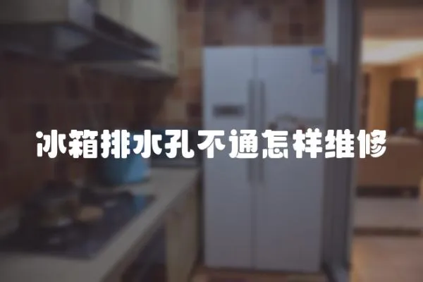 冰箱排水孔不通怎樣維修