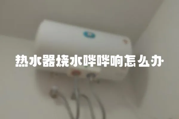熱水器燒水嘩嘩響怎么辦