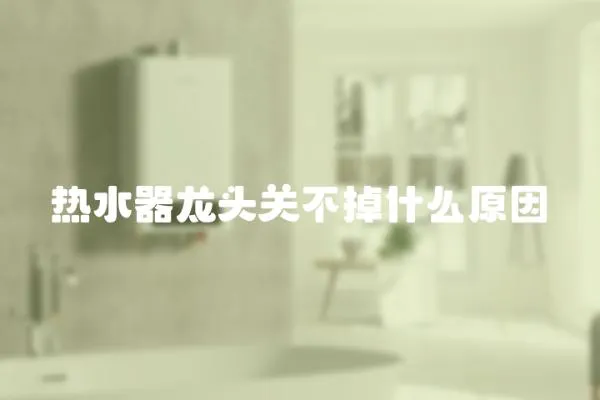 熱水器龍頭關不掉什么原因