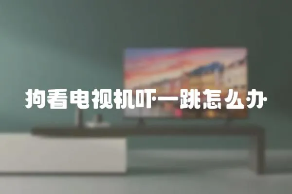 狗看電視機嚇一跳怎么辦