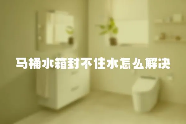 馬桶水箱封不住水怎么解決