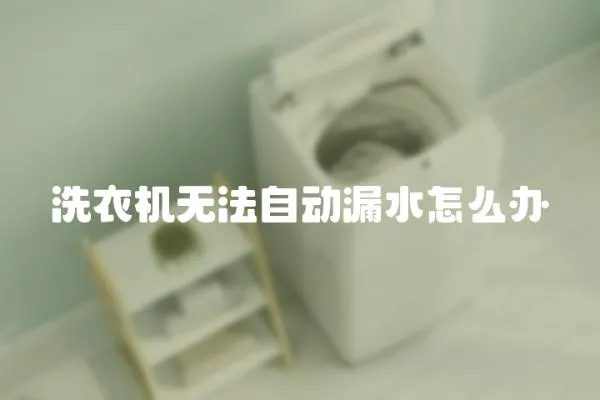 洗衣機無法自動漏水怎么辦