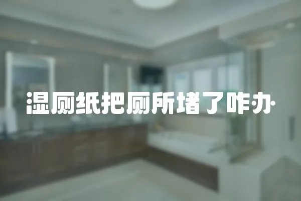 濕廁紙把廁所堵了咋辦