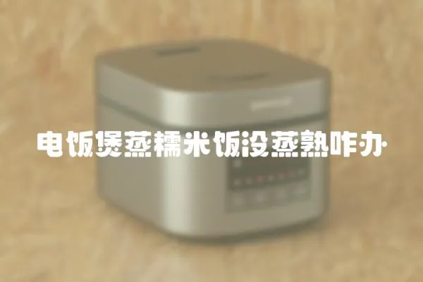 電飯煲蒸糯米飯沒(méi)蒸熟咋辦