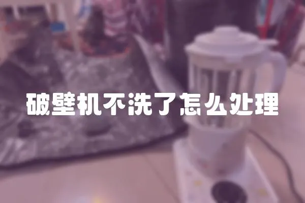 破壁機不洗了怎么處理