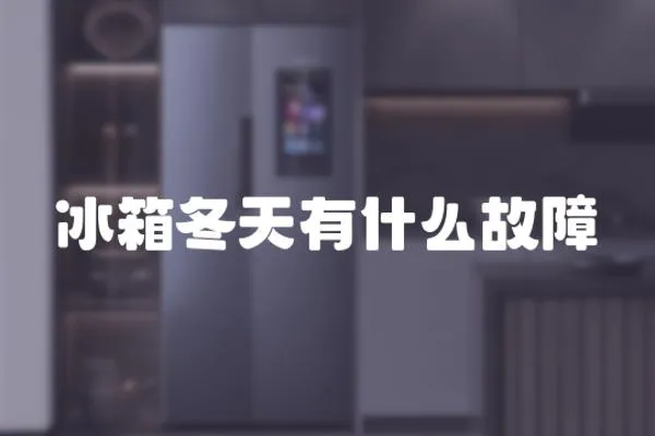 冰箱冬天有什么故障
