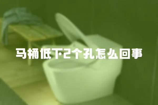 馬桶低下2個(gè)孔怎么回事