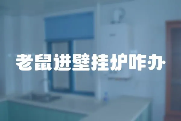 老鼠進壁掛爐咋辦